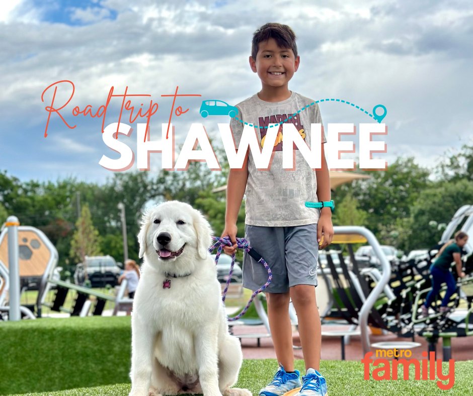 MetroFamily Magazine tweet media