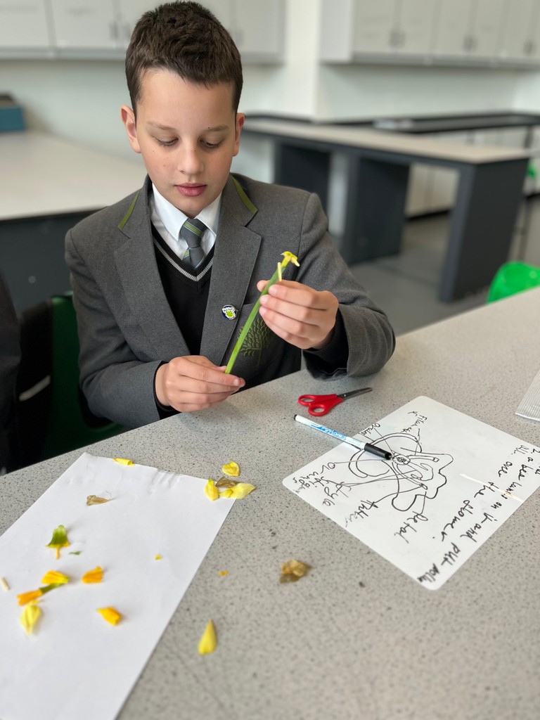 New Line Learning Academy tweet media