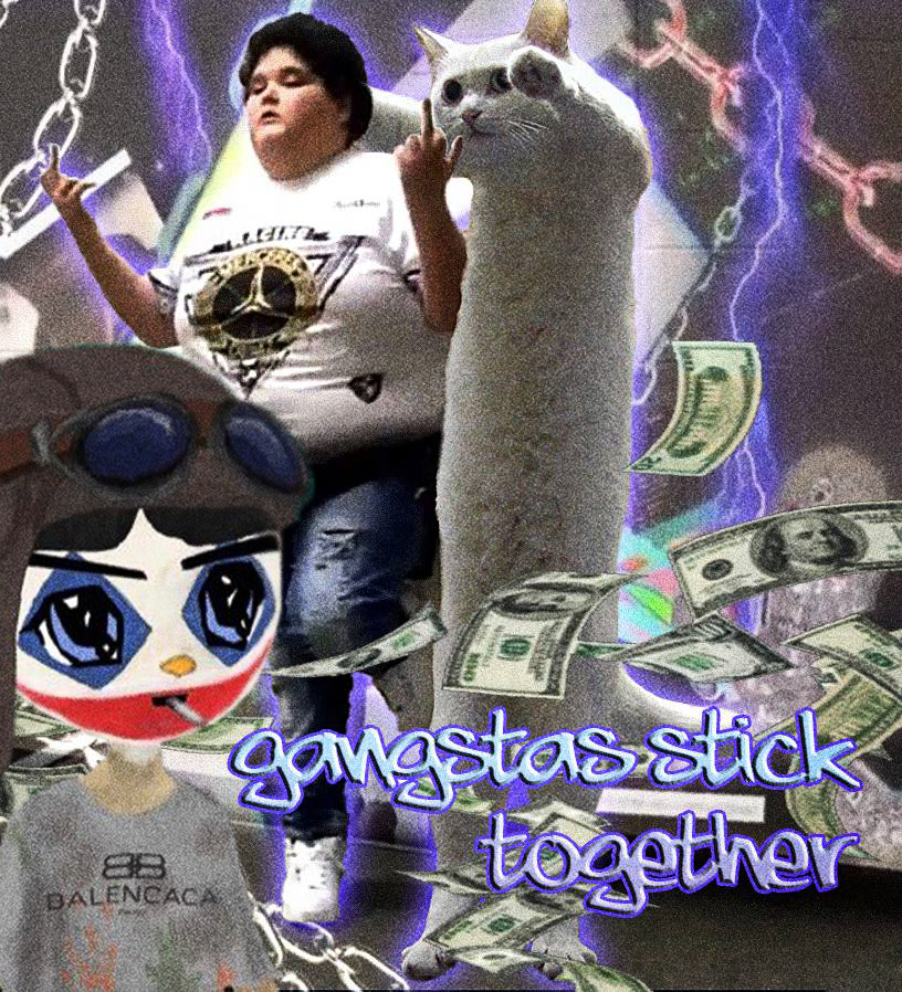 Nobiko Coin のびこコイン tweet media