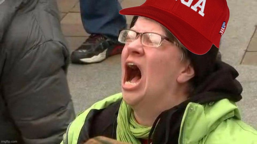 Maple MAGA today: