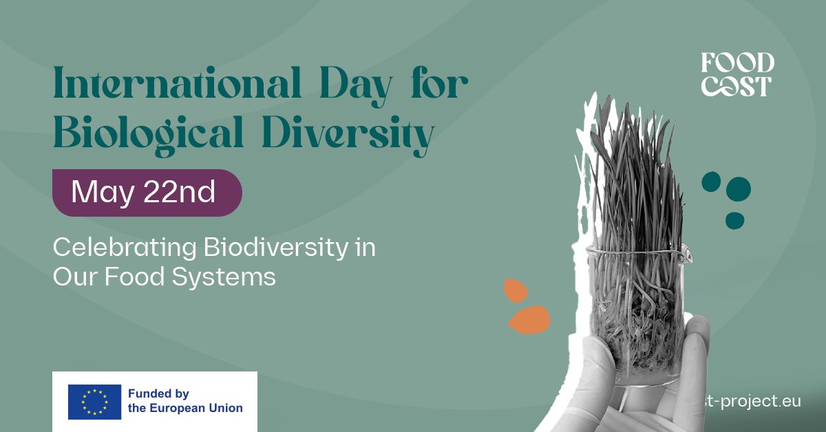 Happy International Day for Biological Diversity! 🌿

This day emphasises the crucial need to protect our planet’s diverse ecosystems. By advancing sustainable food systems, we can address #climate, #biodiversity, and social impacts along the food value chain. 💚

<a href="/WUR/">Wageningen U&R</a>