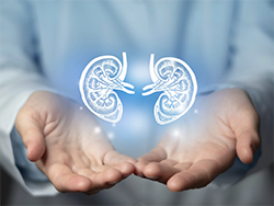 UAB Nephrology (@uab_nrtc) on Twitter photo 5 tips to spring-clean your kidneys - Eric Judd, MD <a href="/UAB_NRTC/">UAB Nephrology</a> and Joseph Crivelli, MD <a href="/UABUrology/">UAB Urology</a> provide tips on maintaining optimal kidney health
👇👇👇
uab.edu/medicine/news/… 5 tips to spring-clean your kidneys - Eric Judd, MD <a href="/UAB_NRTC/">UAB Nephrology</a> and Joseph Crivelli, MD <a href="/UABUrology/">UAB Urology</a> provide tips on maintaining optimal kidney health
👇👇👇
uab.edu/medicine/news/…