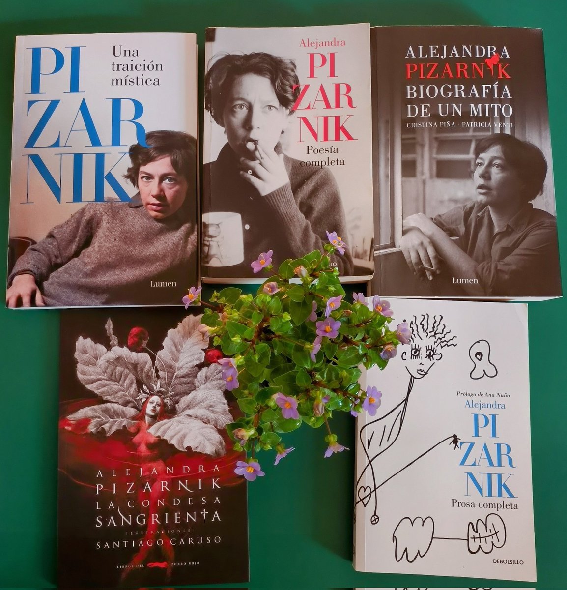 Hace 89 años nació la poeta Alejandra Pizarnik.