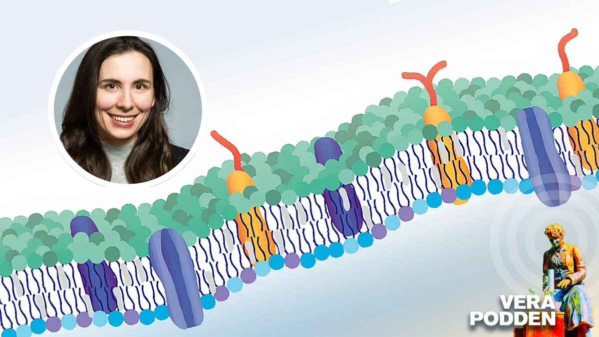 In the new episode of Chalmers´podcast Verapodden, researcher Margaret Holme shares her groundbreaking work on creating synthetic nanobubbles to navigate the body and deliver drugs to specific cells, potentially revolutionizing treatment methods.
🔬Listen: chalmers.se/en/current/new…