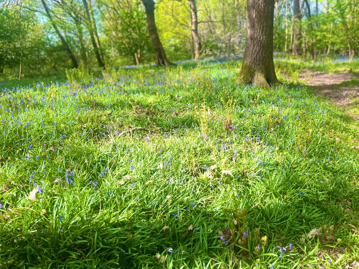 Science_HCross's tweet photo. What a gorgeous day at FS with the S3. https://t.co/pb6TLVE70P
