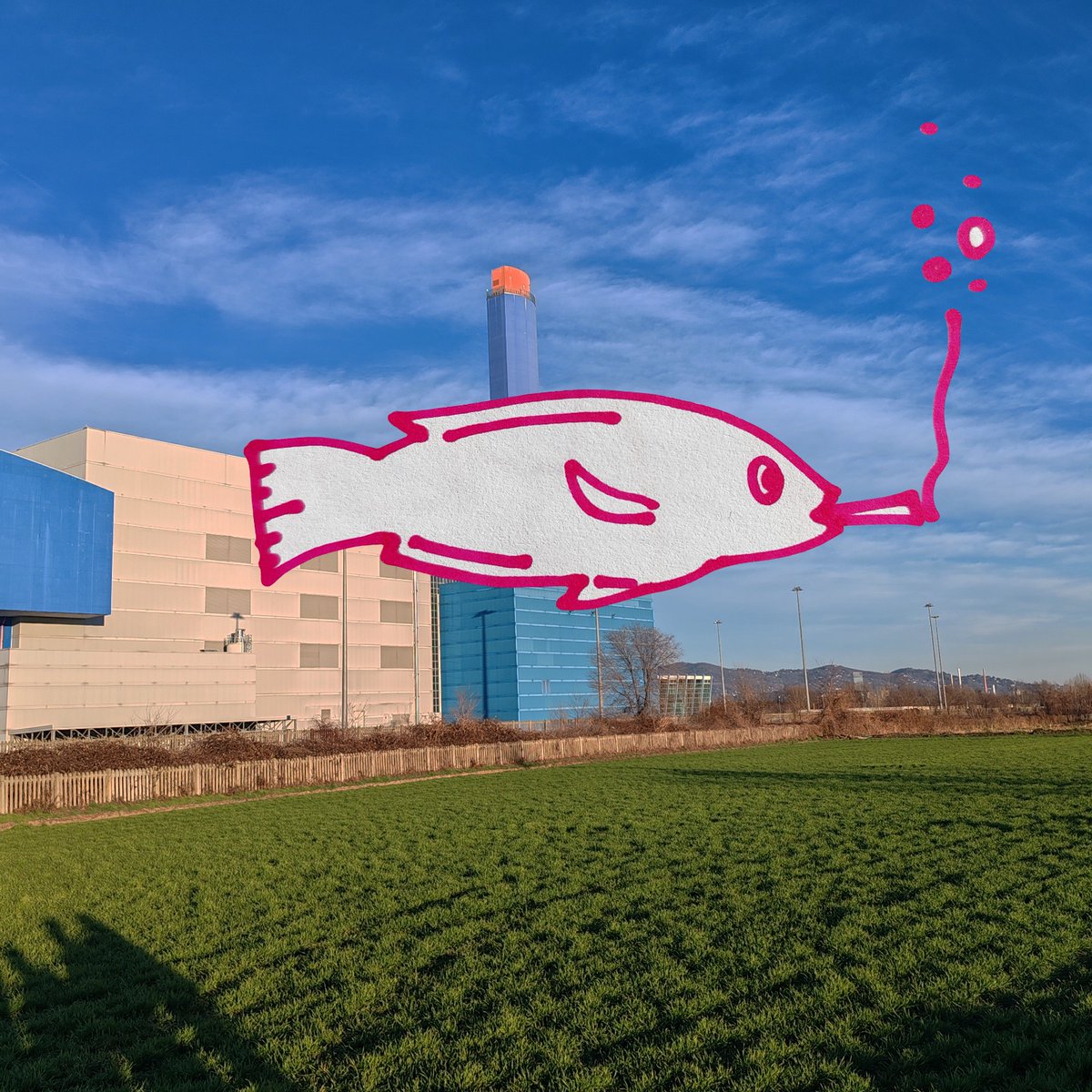 fruttaeverdura2's tweet image. 2 fish