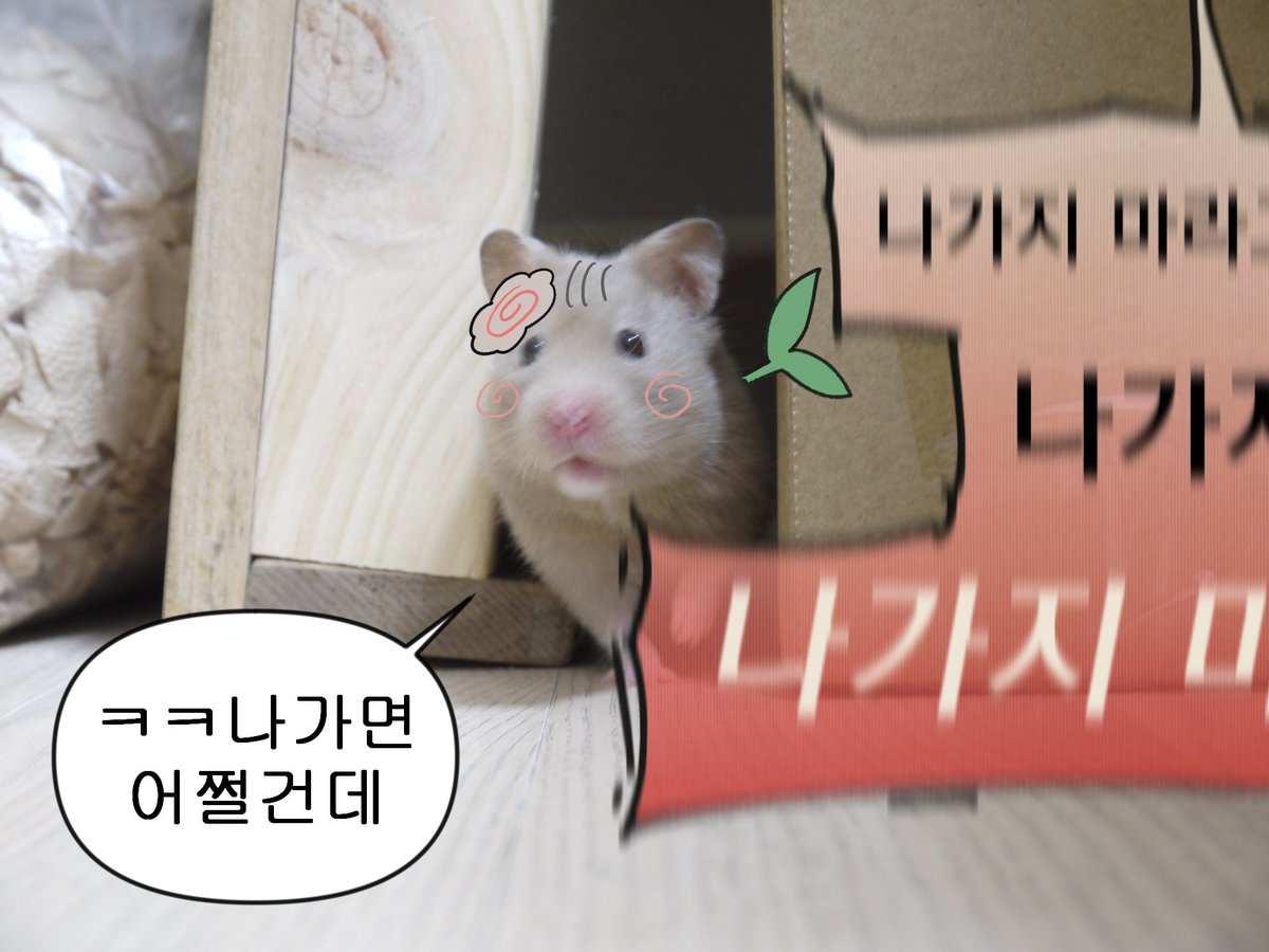 #요즘양키그림
강조되고 반복되는 케이지 탈출은 가나디를 불안하게 해요
