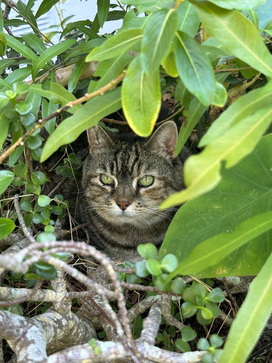 Stetzism's tweet image. If I invested all my exposure into bitcoin I’d be so rich rn