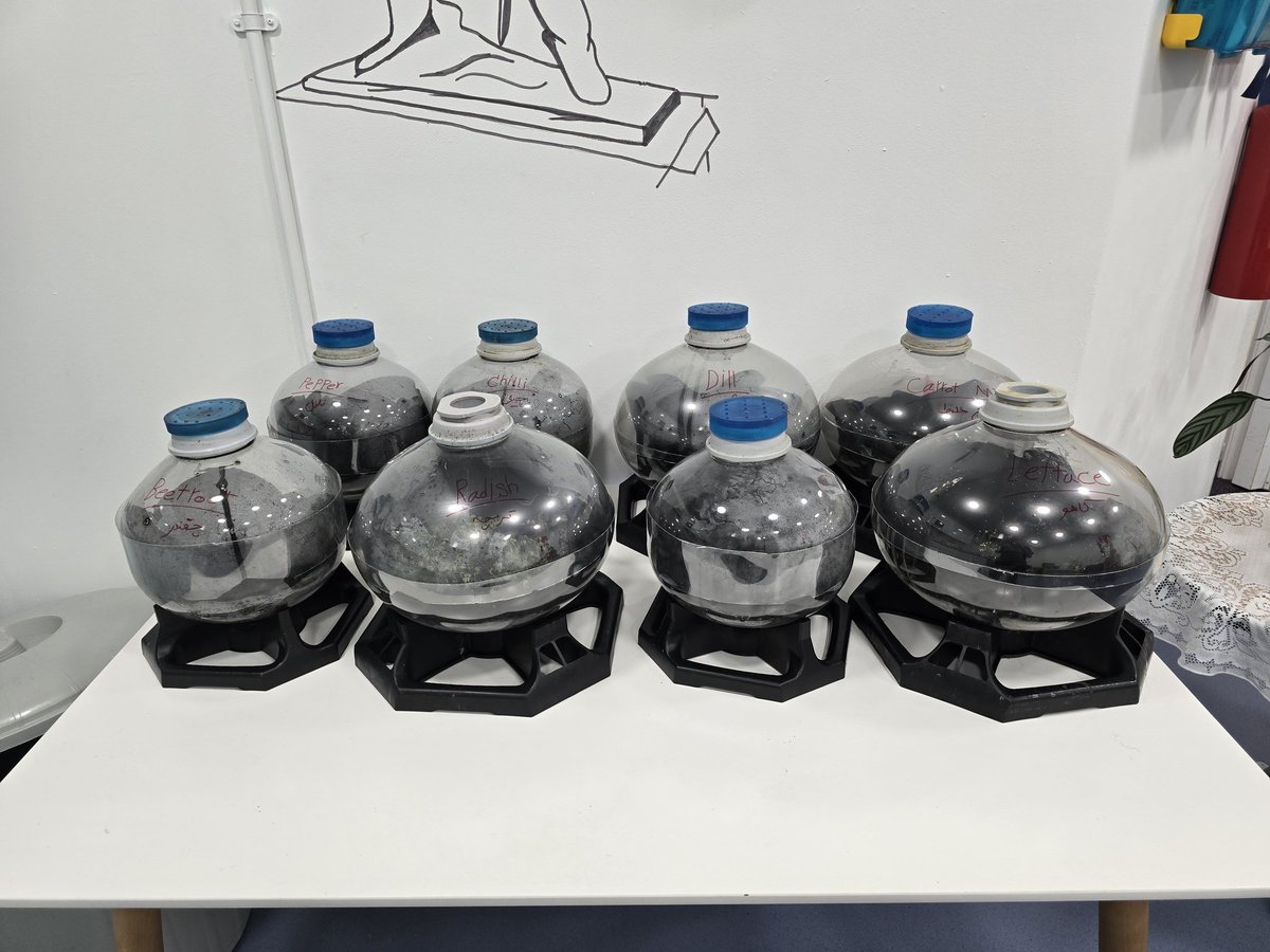 marvellouscic's tweet photo. Our online shop is open! First 5 orders get a free Buddha for your dome. 
https://t.co/npgHmm8eoZ to order yours today.

#mcic #growingfood #sneinton https://t.co/nncQkX10eC