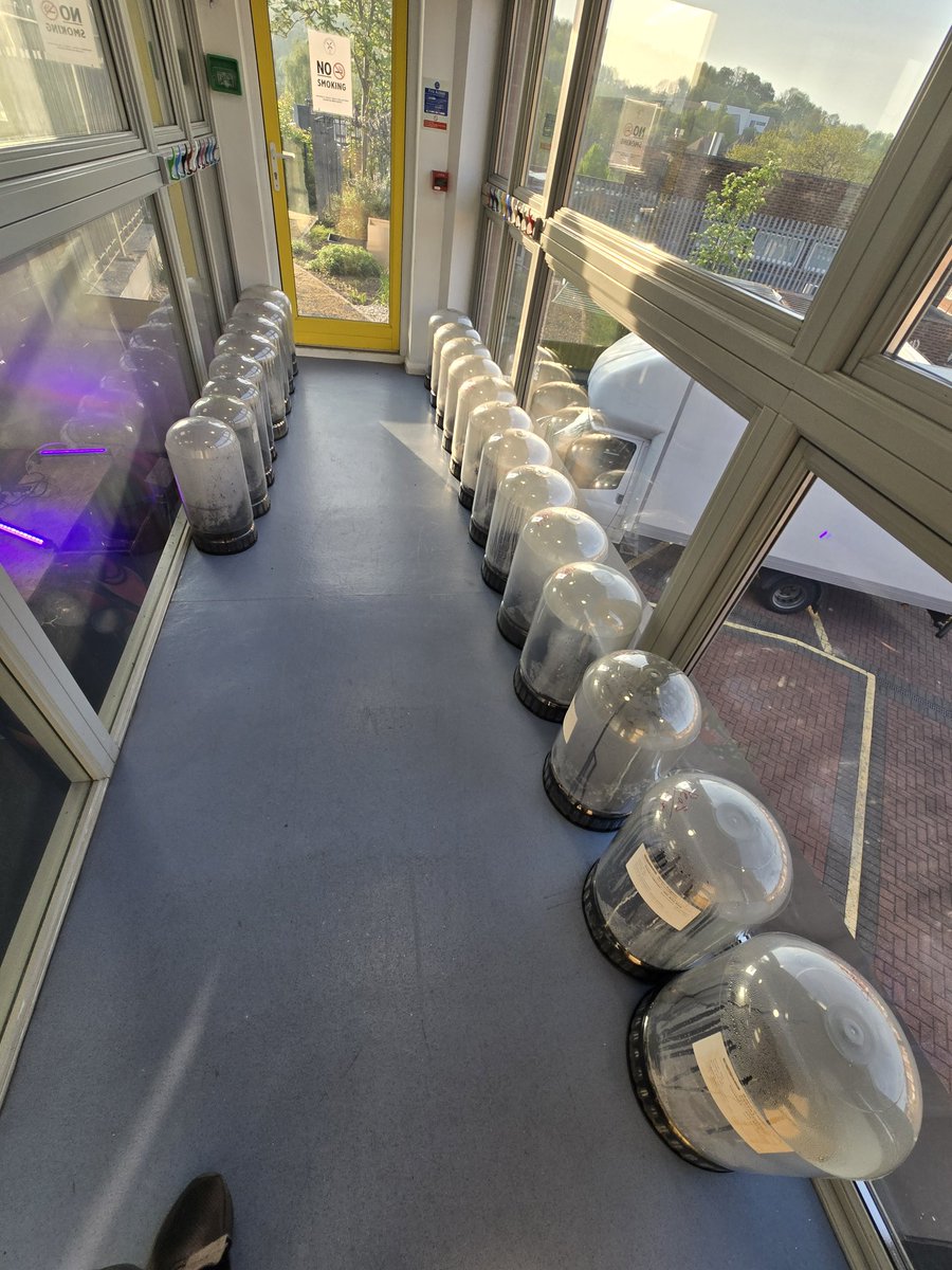 marvellouscic's tweet photo. Our online shop is open! First 5 orders get a free Buddha for your dome. 
https://t.co/npgHmm8eoZ to order yours today.

#mcic #growingfood #sneinton https://t.co/nncQkX10eC