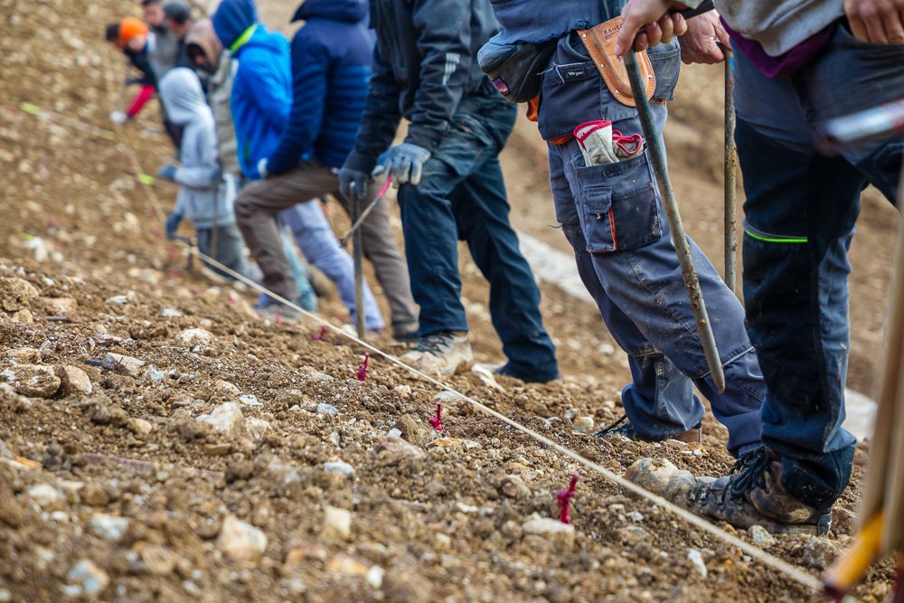 Après le traçage vient le temps de la plantation  🍃After the tracing comes the time of the plantation ☀#coterotie #nouvellesplantations #guigal
📷 Stéphane Chalaye Photographie