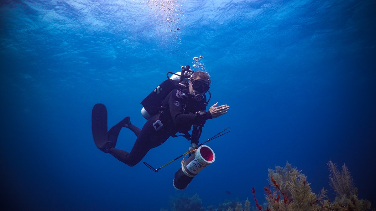 Anthony's Key Resort (@akresort) on Twitter photo Peter Hughes returns to AKR Aug 16–23, 2025! 🌴 Dive, lionfish hunt & swap stories in Roatan. Limited spots—call (800) 227-DIVE or email reservations@anthonyskey.com. #PeterHughes #AKR #RoatanDiving - mailchi.mp/anthonyskey.co… Peter Hughes returns to AKR Aug 16–23, 2025! 🌴 Dive, lionfish hunt & swap stories in Roatan. Limited spots—call (800) 227-DIVE or email reservations@anthonyskey.com. #PeterHughes #AKR #RoatanDiving - mailchi.mp/anthonyskey.co…