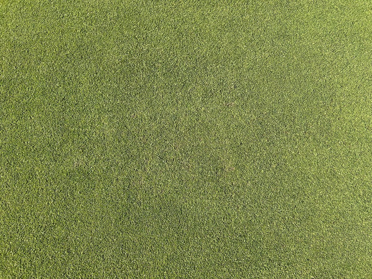 Mark Simmons (@marksim93794378) on Twitter photo Greens verti cut, double cut, debris blown, holes changed & dynaseed using <a href="/DSVUKSEEDS/">DSV United Kingdom</a> pro bent at 5g/m2 ๐ฑ fairways, 1st cut & approaches sprayed with <a href="/RegenAmenity/">ReGen Amenity</a> kite <a href="/AgrovistaAMNTY/">Agrovista Amenity</a> Praxys, urea & primo & rough started โณ๏ธ
<a href="/MonmouthshireGC/">MonmouthshireGC</a> <a href="/RJNorvilleGolf/">ReGen Rhys</a> <a href="/CallumHutchTurf/">Callum Hutchinson</a> Greens verti cut, double cut, debris blown, holes changed & dynaseed using <a href="/DSVUKSEEDS/">DSV United Kingdom</a> pro bent at 5g/m2 ๐ฑ fairways, 1st cut & approaches sprayed with <a href="/RegenAmenity/">ReGen Amenity</a> kite <a href="/AgrovistaAMNTY/">Agrovista Amenity</a> Praxys, urea & primo & rough started โณ๏ธ
<a href="/MonmouthshireGC/">MonmouthshireGC</a> <a href="/RJNorvilleGolf/">ReGen Rhys</a> <a href="/CallumHutchTurf/">Callum Hutchinson</a>