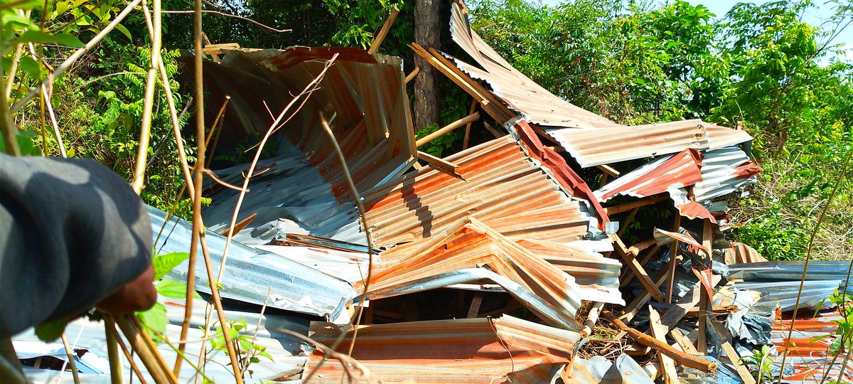 HerFutureFound1's tweet photo. Dear goodwill people, Do you wants to fix the Damaged Dukono Community School?
You can join @HerFutureFound1 in fixing the school by contacting us at +23279500833 or donate to https://t.co/nhI6XgrC23
@IrlEmbFreetown 
@EmilyRalph78410 
@PeteHall86 

#LetsFixEducation
#EndGBV https://t.co/oW9W52Ktip