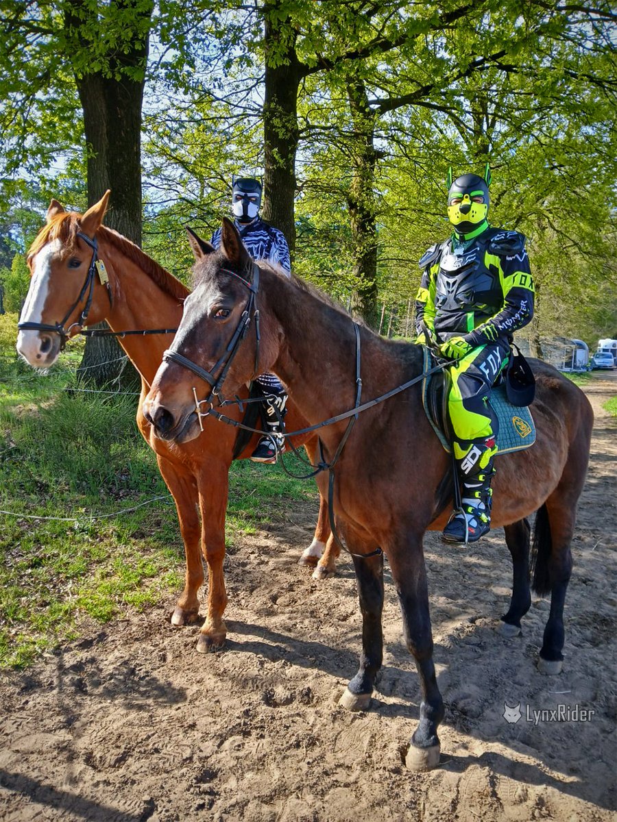 27/04/2025 - Nice ride with <a href="/RubbikerD/">RubbikerDE 🇩🇪</a> 

#gear #gearfun #puppyplay #bikerpuppy