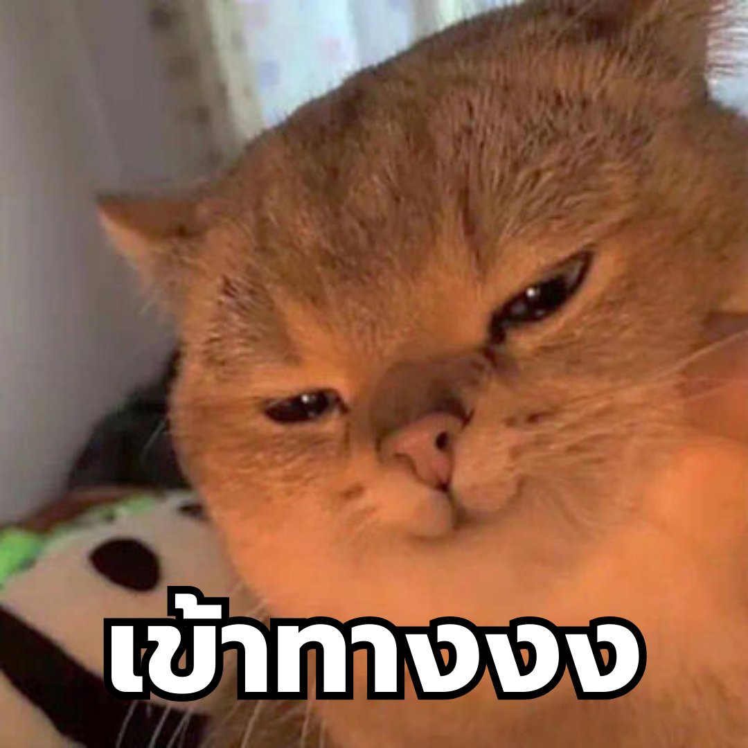 LeapDaySeriesTH's tweet photo. พี่วินคือเมาท์แฟ่ดมากกก ได้ข้อมูลเพียบบบ

#LeapDaySeriesEP4
@dew_jsu @itspahnthitta @titlekplee https://t.co/SLyYAdEiqg