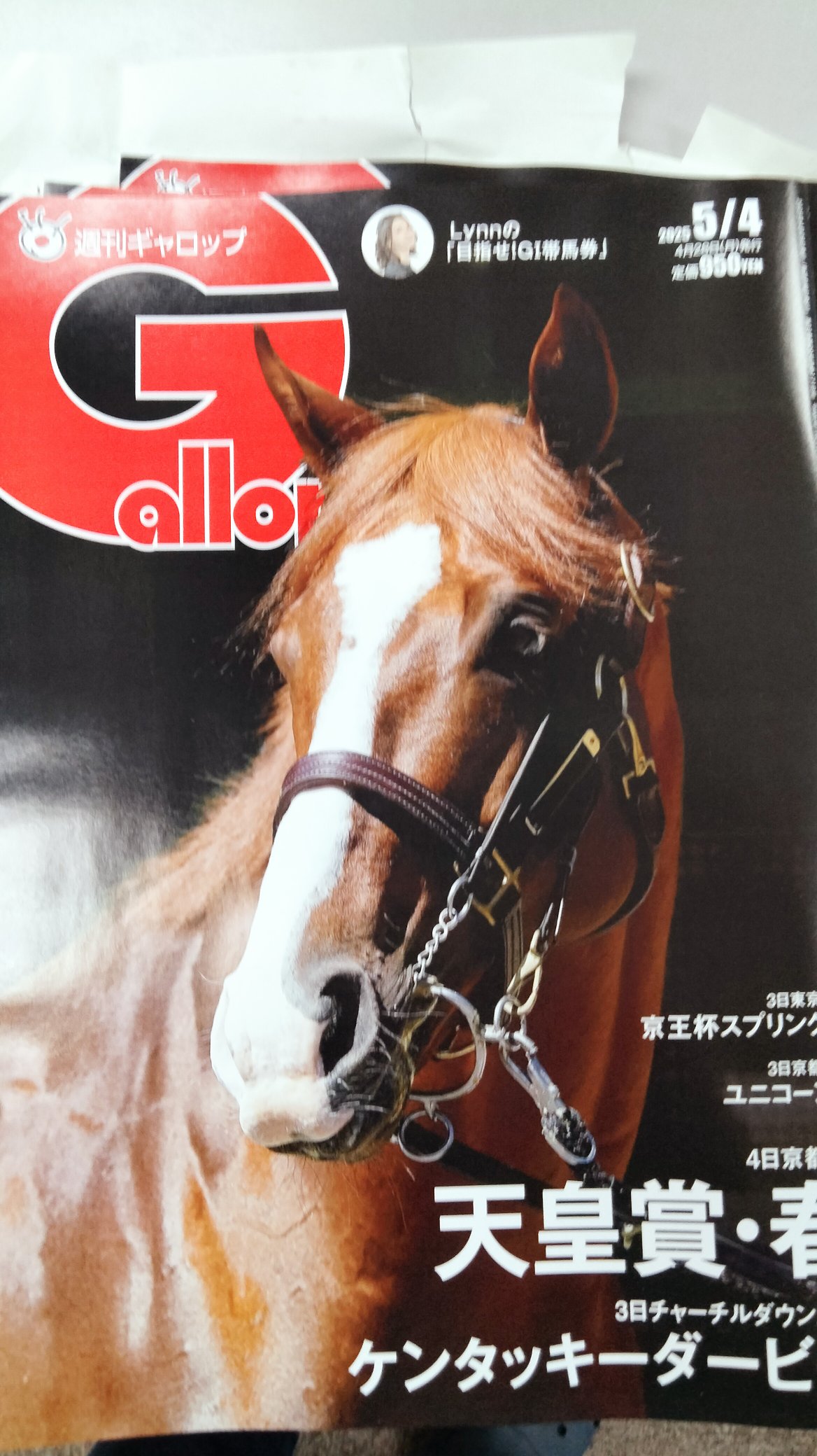 週刊Gallop(Weekly Gallop) (@gallop_keiba) / X 週刊Gallop(Weekly Gallop) (@gallop_keiba) / X
