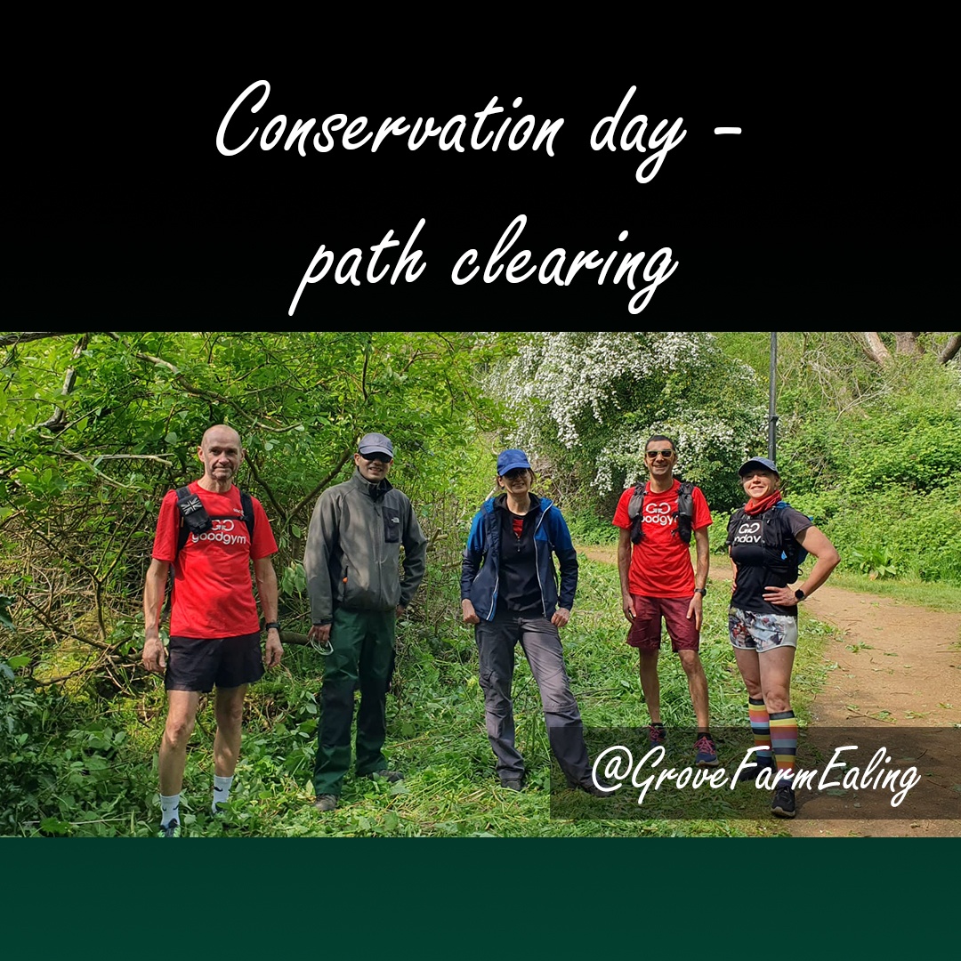 GroveFarmEaling's tweet image. 🌿 Let’s Get This ‘Path’ Started! Last Saturday, #friendsofgrovefarm, with @goodgym ealing, cleared sight lines and tested our ponds, discovering 7 slowworms! 🌍 Join us for our next event on Saturday, May 24th, from 10 AM to 1 PM! 🚶♀️💧 #conservation #volunteers