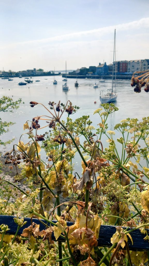 @socialprescribingwaterford tweet media