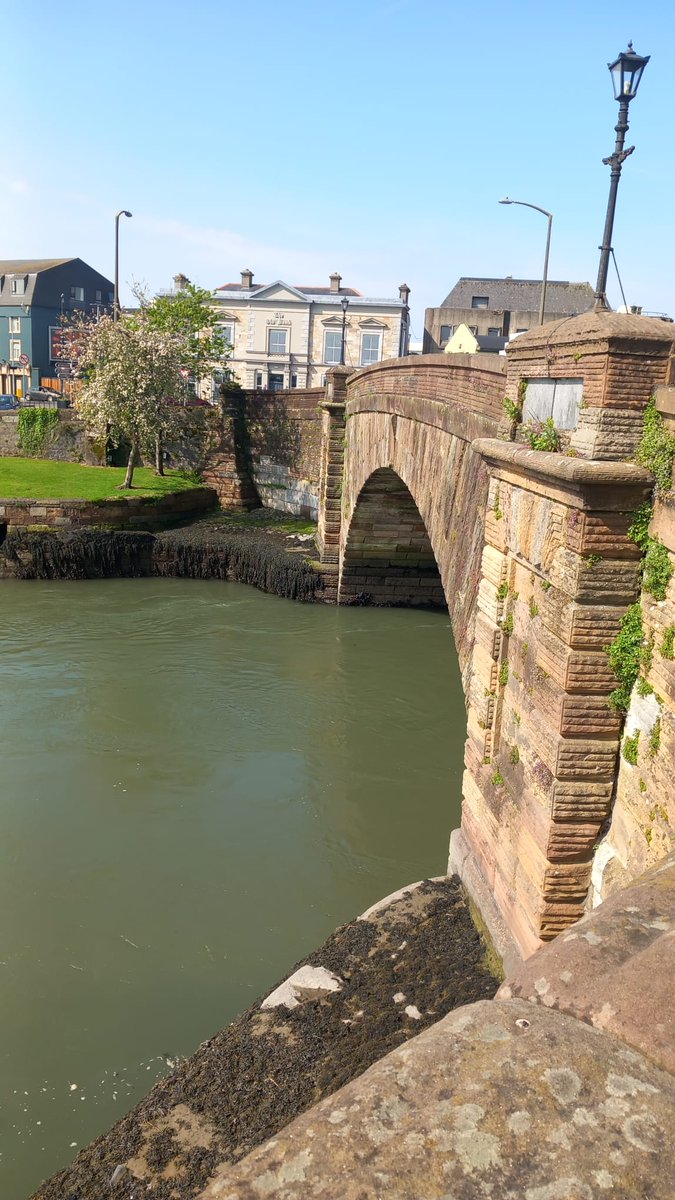 @socialprescribingwaterford tweet media