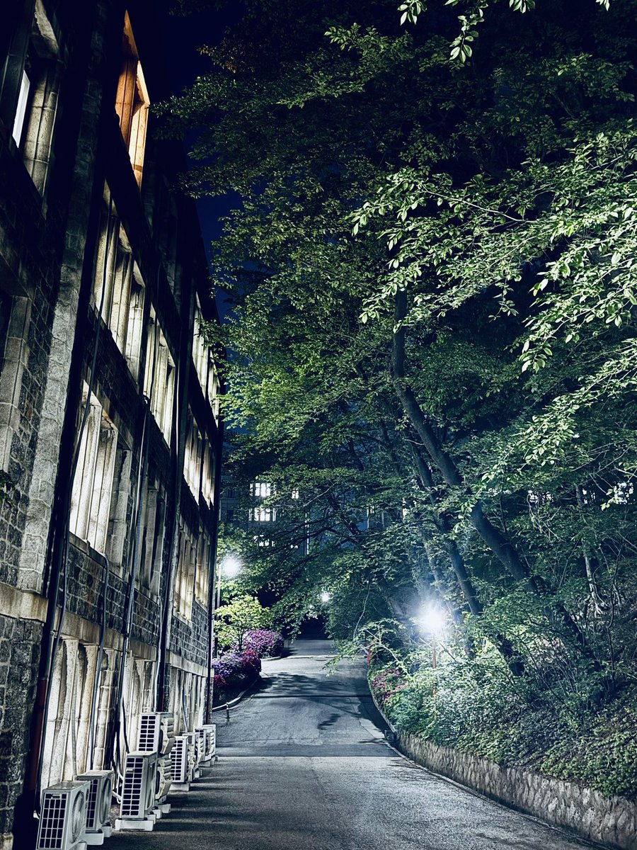 경이로운 퇴근길.

#야간강의, #연희관, #연세대학교