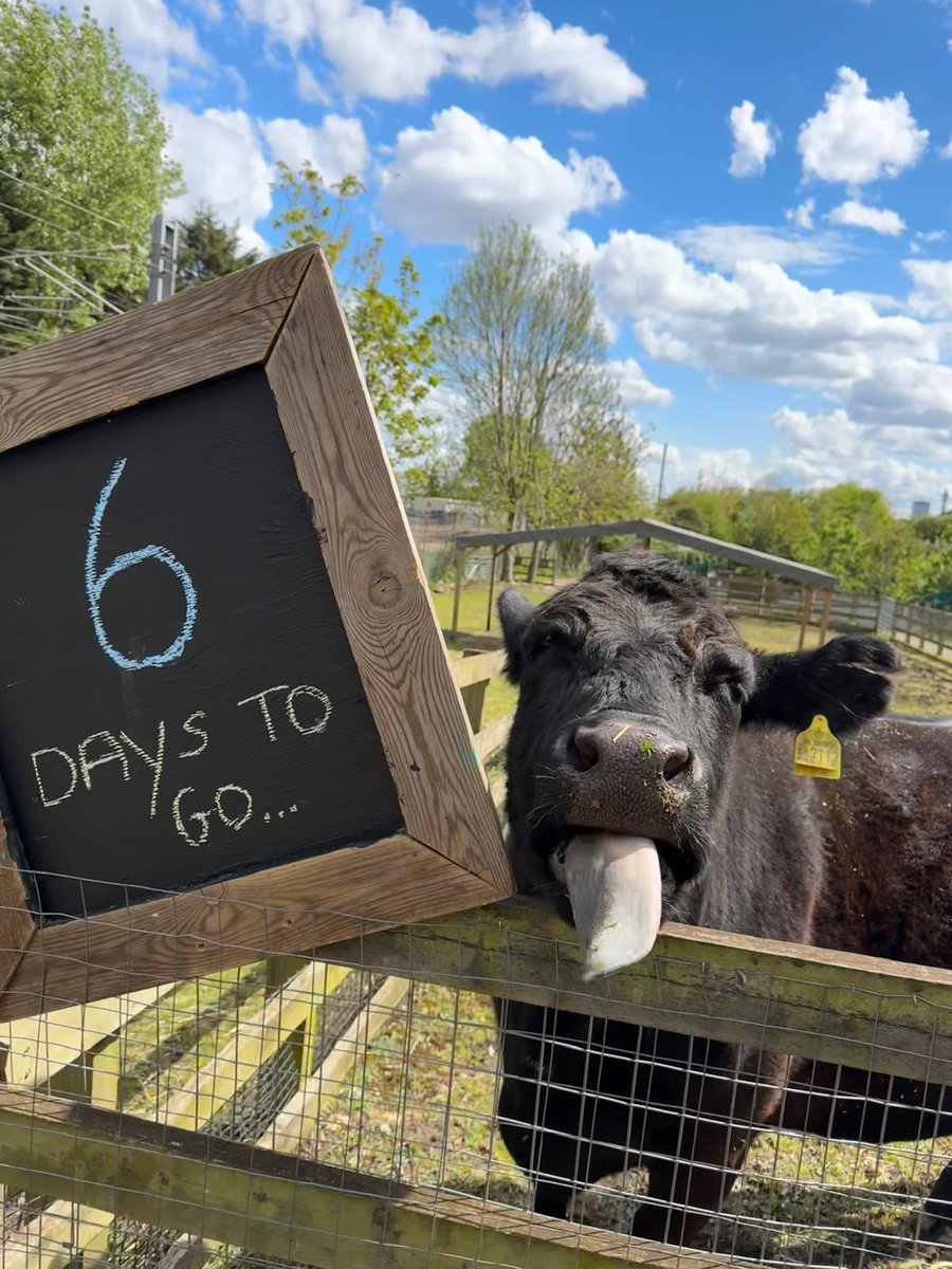 Kentish Town City Farm tweet media