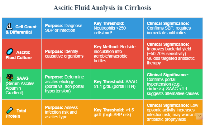 abdo_imaging's tweet image. Ascites in Cirrhosis is not just another finding. It leads to change in management.
Ascitic Fluid analysis in cirrhosis. Click the link below.
abdominalimaging.blogspot.com/2025/04/asciti…
#FOAMed #Radtwitter #cirrhosis #Ascites
