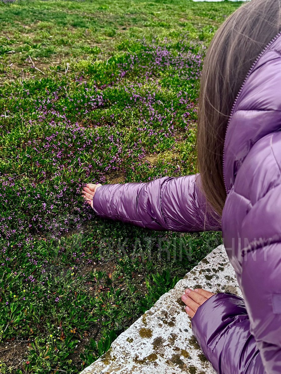 Katrin_Shiny's tweet image. You’re a radiant flower, Malva🌸 Why are you so 💜enchanted by the romance of storm?⛈️What draws you to those shimmering drops? Is it because you bloom so gorgeously?🥰

#Malva #StormQueen #Rainworld #StreetStyle #ChicLook