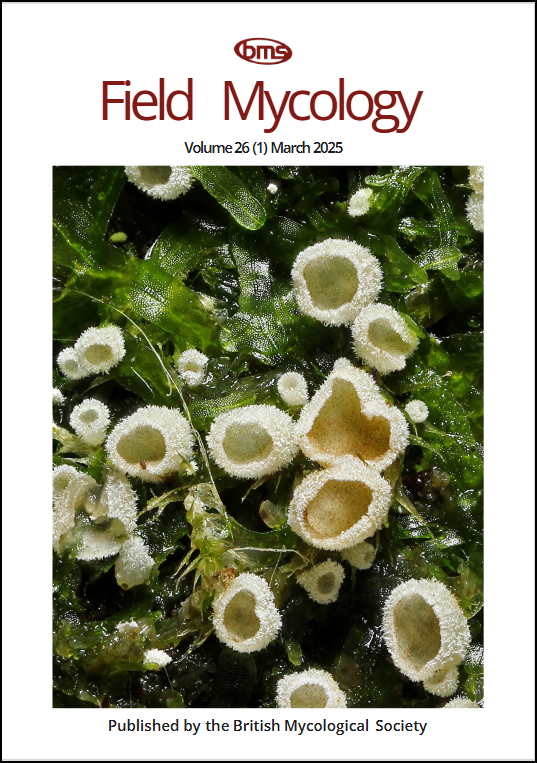 If you've wondered what field mycology is all about, take a look at the articles in our Field Mycology journal. It's now available to all for free on a new, online platform.
➡️britmycolsoc.org.uk/fm-journal.html
#OpenAccess #mycology #fungi