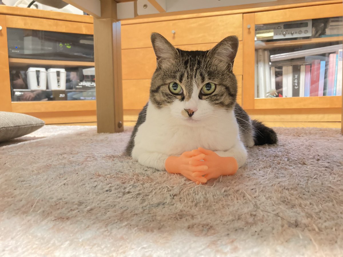 兄が買ってきた