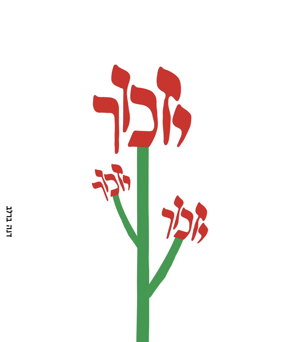 Dana Barlev 🎗️ (@danabarlev) on Twitter photo 