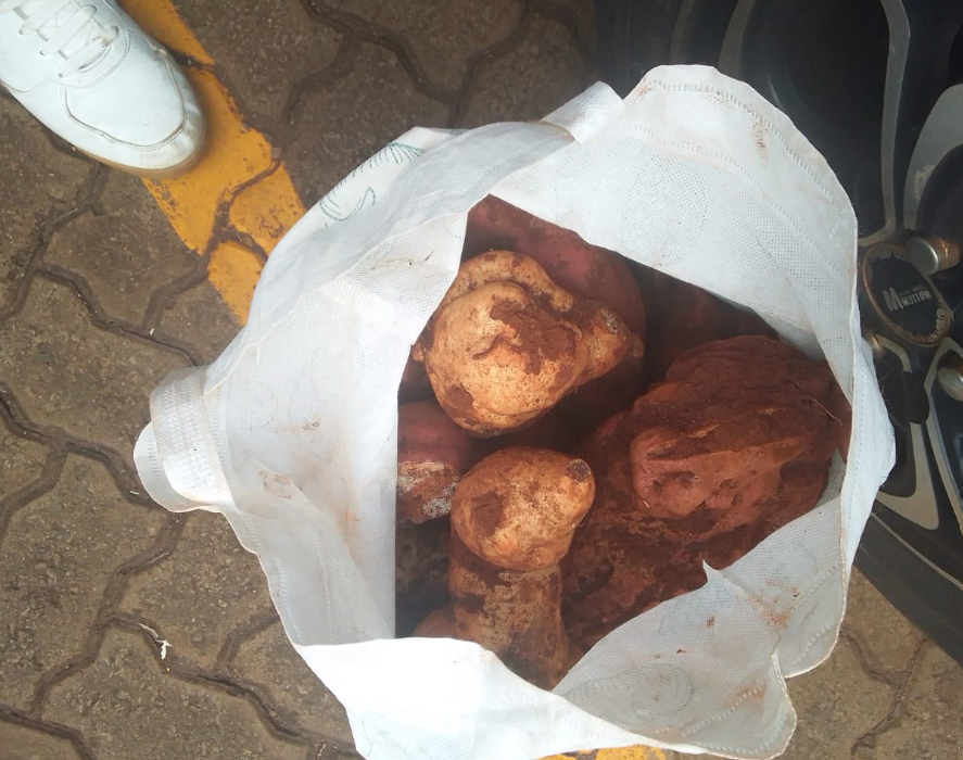 ericwarutere's tweet photo. BQ inasema "Clear site vegetation, bushes, shrubs, undergrowth and general debris, cutting down small trees &amp; grubbing up roots" 

Alafu unapatana na ngwaci gunia mzima. Imebidi tugawane na client, juu technically ni zangu, I'm supposed to dispose.. Naeza dispose in my stomach. https://t.co/ddY9ox9phK