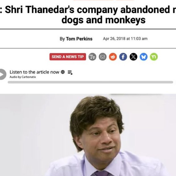 PhaedraXTeddy's tweet image. Hanging out with #furries doesn&apos;t mean #ShriThanedar likes animals. He abandoned almost 200 dogs and monkeys and probably smaller animals too when his evil #AnimalTesting business went bankrupt.
#StopAnimalTesting NOW @realDonaldTrump . @DrJBhattacharya is allegedly still funding…