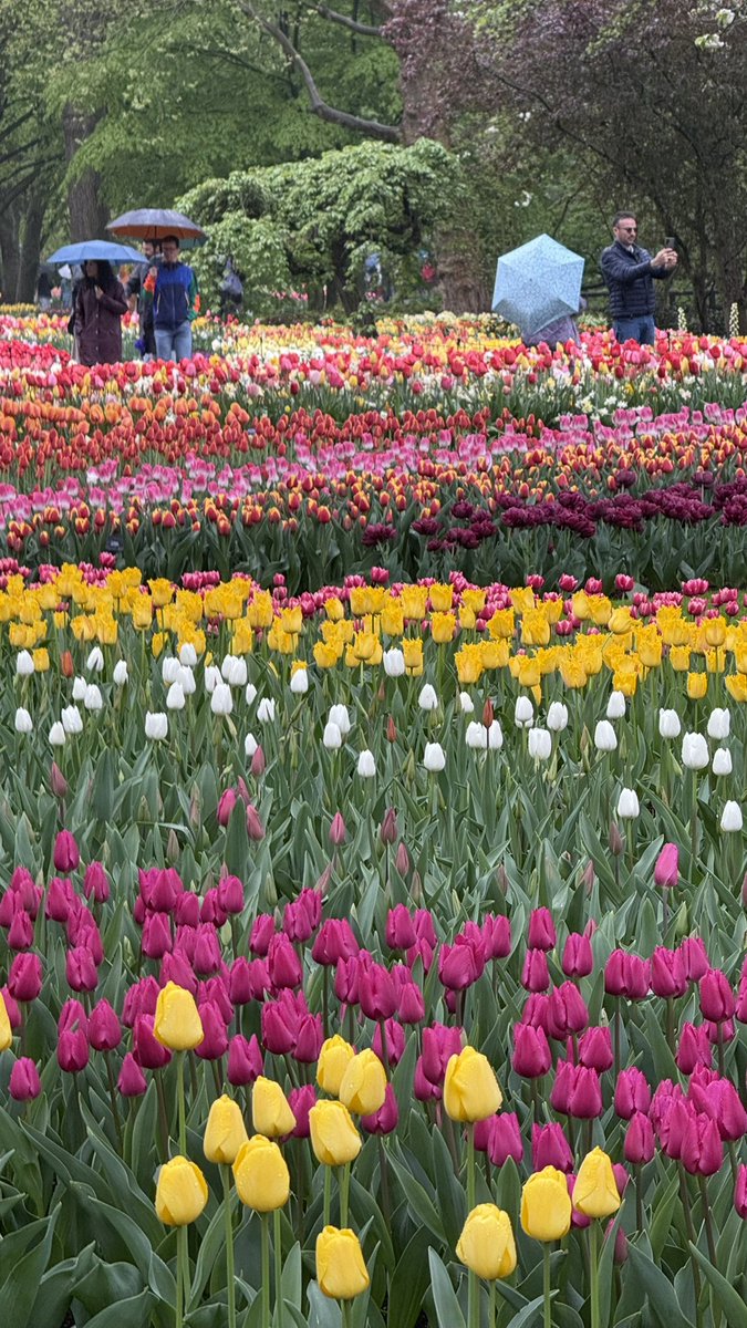 surfitino's tweet image. Avec plaisir