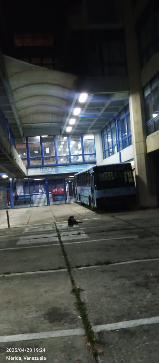 La Facultad de Ingeniería junto a la Dirección de Ingeniería y Mantenimiento, en un mancomunado esfuerzo de profesores y personal obrero de la Facultad. realizó la reparación y mantenimiento de luminarias de la entrada de nuestras instalaciones.

#IngenieríaULA