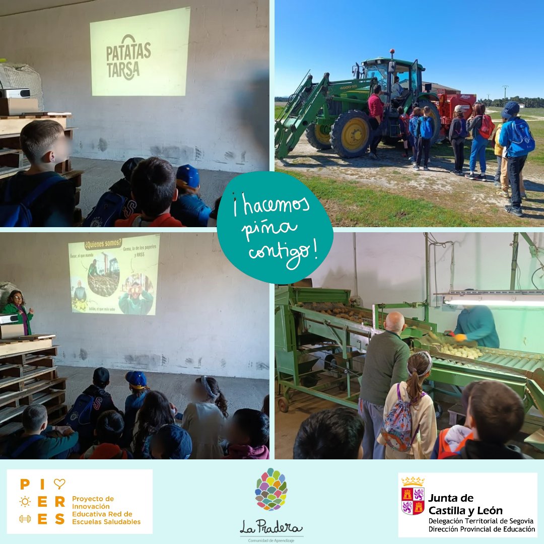 Ayer, los alumnos de 3° hicimos una visita a @patatastarsa , allí Gema, Óscar y Julián nos enseñaron todo lo que saben sobre patatas, nos enseñaron sus instalaciones y sus tierras de cultivo en Pinarnegrillo. 
¡Aprendimos muchísimo y nos lo pasamos genial!
¡Muchas gracias!