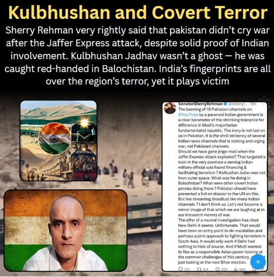 Rooh_a_Ishq's tweet photo. Kulbhushan &amp; Covert Terror
Sherry Rehman very rightly said that Pak didn’t cry war after Jaffer Express attack, despite solid proof of Indian involvement. Kulbhushan Jadhav wasn’t a ghost.
#CovertTerror #IndianInvolvement #JafferExpressAttack #PakistanStandsFirm #TerrorismExposed https://t.co/7AxHwgpAzM