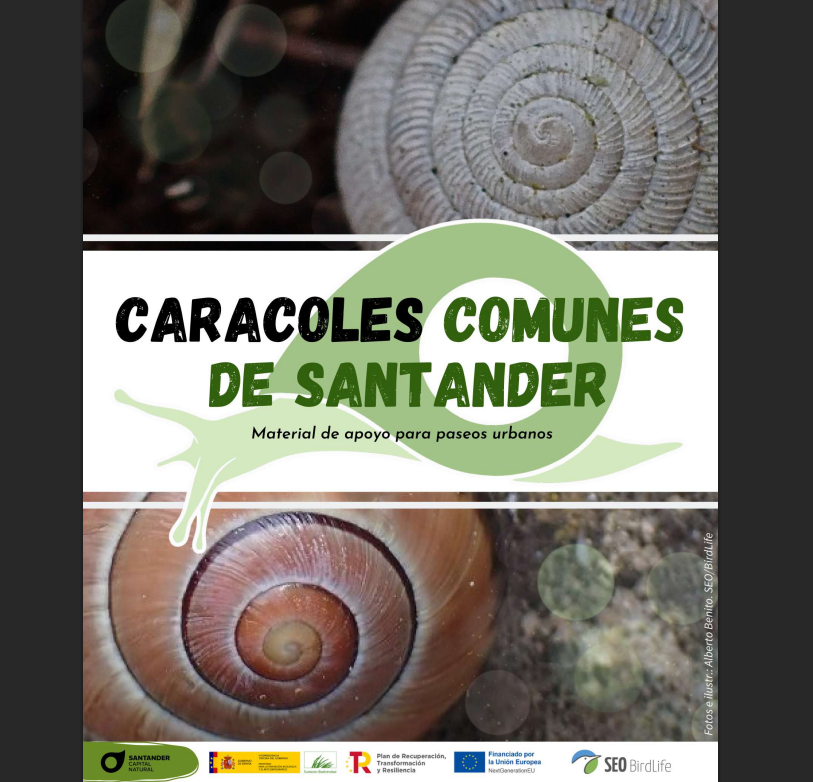 Sociedad Española de Malacología tweet media