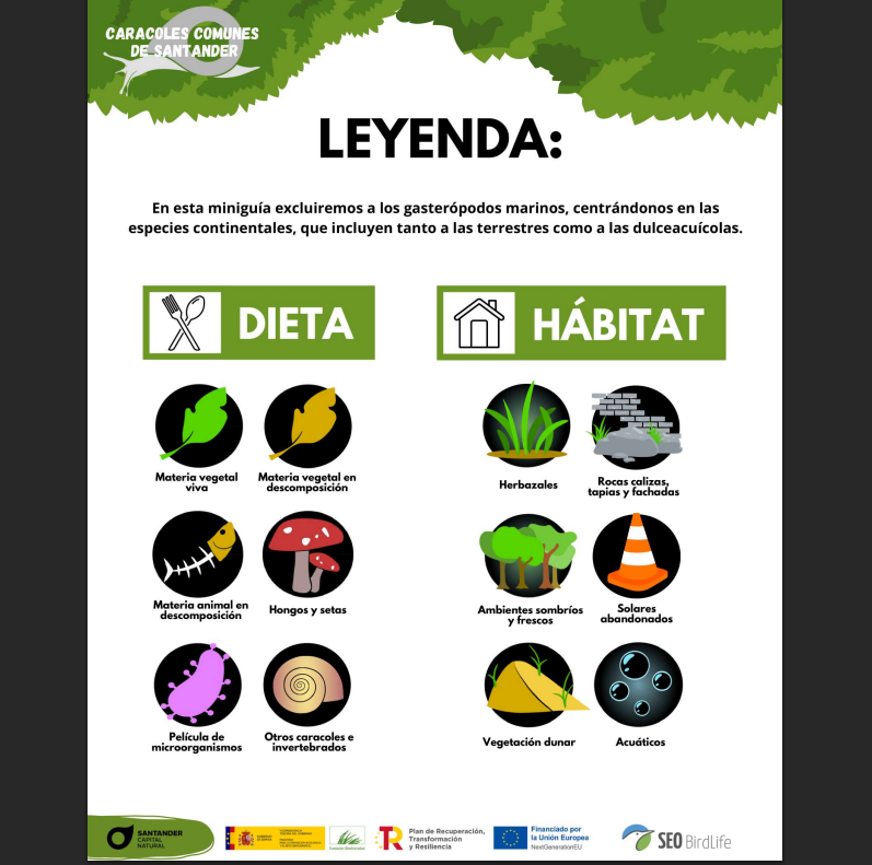 Sociedad Española de Malacología tweet media