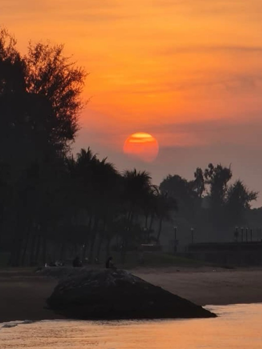 palmerdebra's tweet photo. Sometimes, all you need is a moment by the sea to remember that endings can be beautiful too.ย Captured these sunset shots at the beach โ a gentle reminder that no matter how the day unfolds, it can still end in light.
#ChasingSunsets #NatureHeals #BeachReflections https://t.co/DHYbjtx3h7