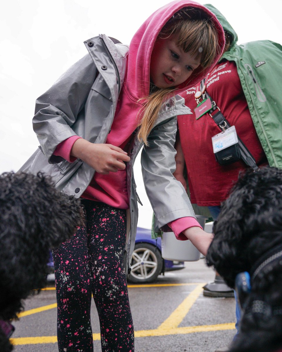 Wycombe Wanderers tweet media