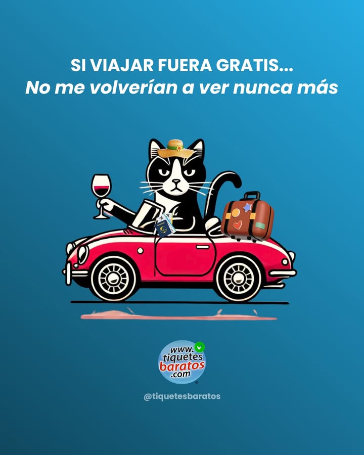 TiquetesBaratos tweet media