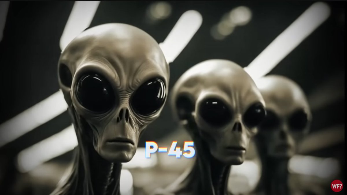 ShugShredder's tweet image. #whyfiles
#GREYALIENS
#P45
