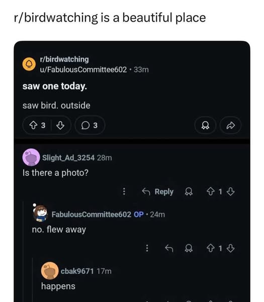 RespectfulMemes's tweet image. 