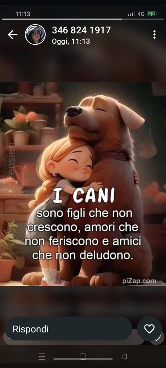 ManuelR98018661's tweet image. È vero
