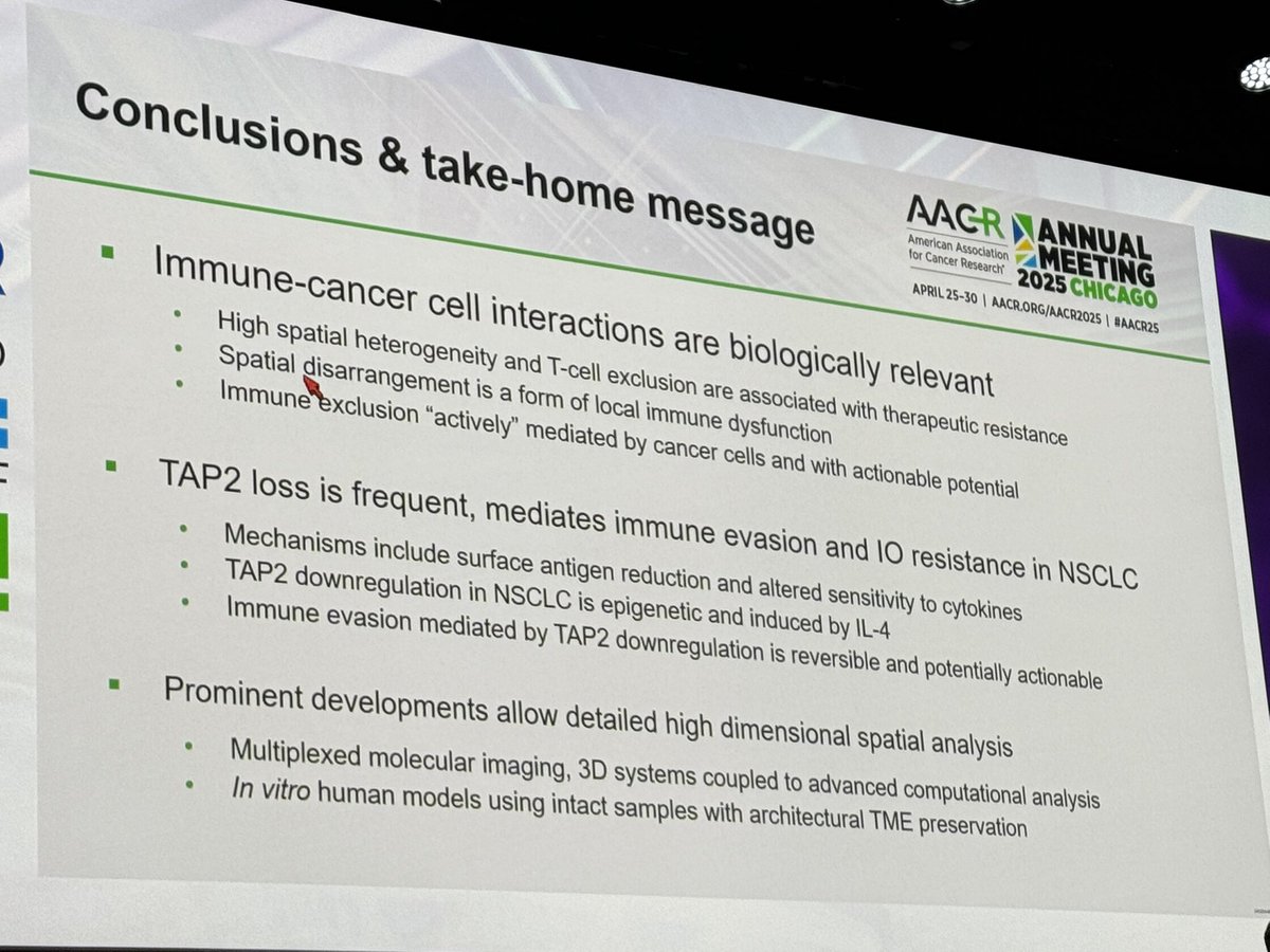 YaleCancer's tweet photo. Dr. Kurt Schalper shares developments in spatial analysis #AACR25 plenary, noting that spatial immune heterogeneity is not a passive phenomenon—higher levels are associated with worse outcomes. @AACR @yalepathology @SmilowCancer @YaleMed https://t.co/UencCCQPUR