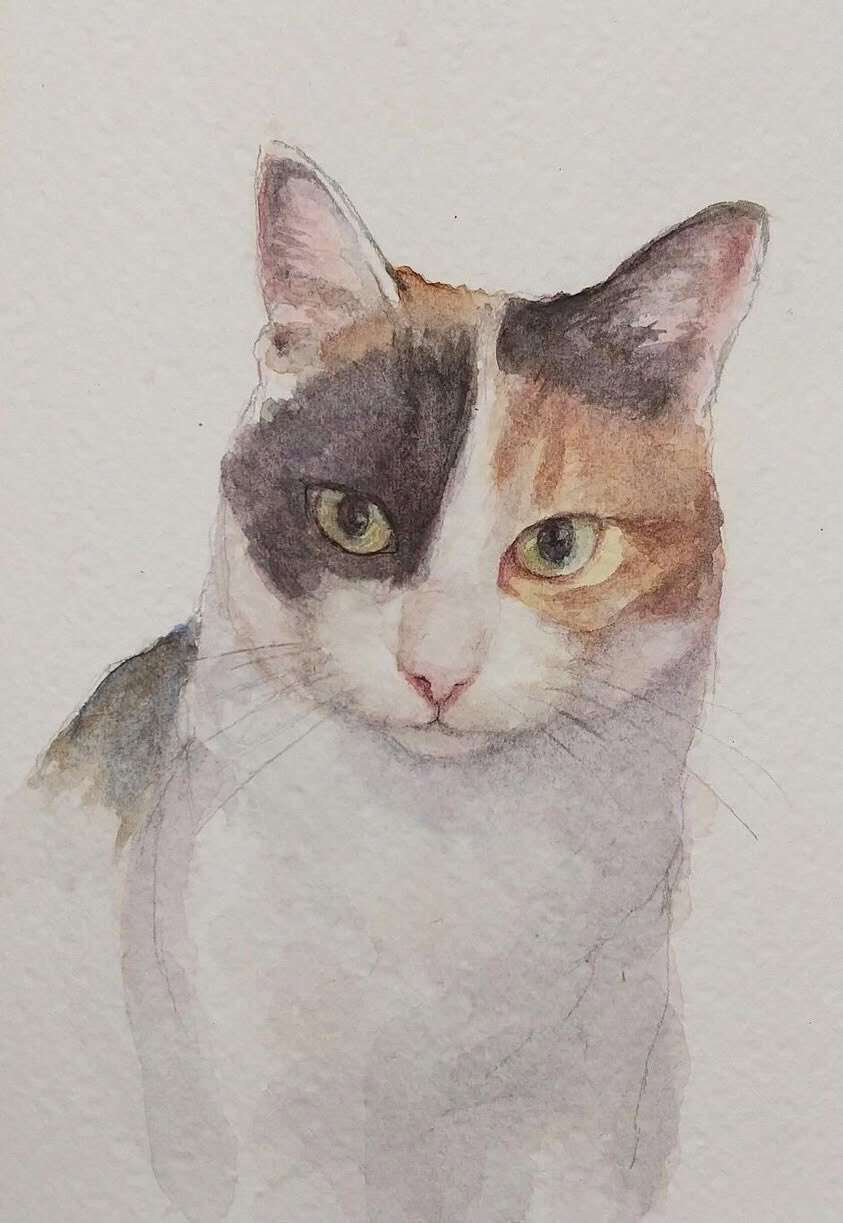 梶原美穂😸5/9-21個展「めぐる」@猫の額(高円寺) (@kajiyon) / X 梶原美穂😸5/9-21個展「めぐる」@猫の額(高円寺) (@kajiyon) / X