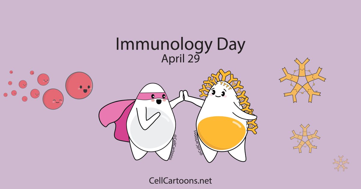 Dr. Deanna Santer (@drdeannasanter) on Twitter photo This #DayofImmunology I am flying to give a talk tomorrow in the <a href="/MacImmunology/">McMaster Immunology</a> seminar series π«
Looking forward to visiting McMaster for the 1st timeπ
UM Discover Days is also today where kids come to campus to have fun with STEM activities- thanks to our <a href="/UM_Immu/">Dept of Immunology @ UofM</a> volunteers! This #DayofImmunology I am flying to give a talk tomorrow in the <a href="/MacImmunology/">McMaster Immunology</a> seminar series π«
Looking forward to visiting McMaster for the 1st timeπ
UM Discover Days is also today where kids come to campus to have fun with STEM activities- thanks to our <a href="/UM_Immu/">Dept of Immunology @ UofM</a> volunteers!