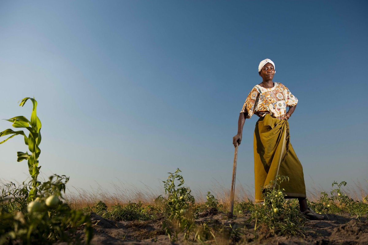 FemnetProg's tweet photo. #Women grow up to 80% of food in parts of Africa but are denied land, excluded from decisions &amp; underfunded.

The new #CAADP strategy is a chance to change that.
@Oxfam &amp; partners call for 16 gender indicators to track progress.

Read more: https://t.co/FrrDjBJR8Z
#TradeTuesdays https://t.co/TEAi0BxdFI