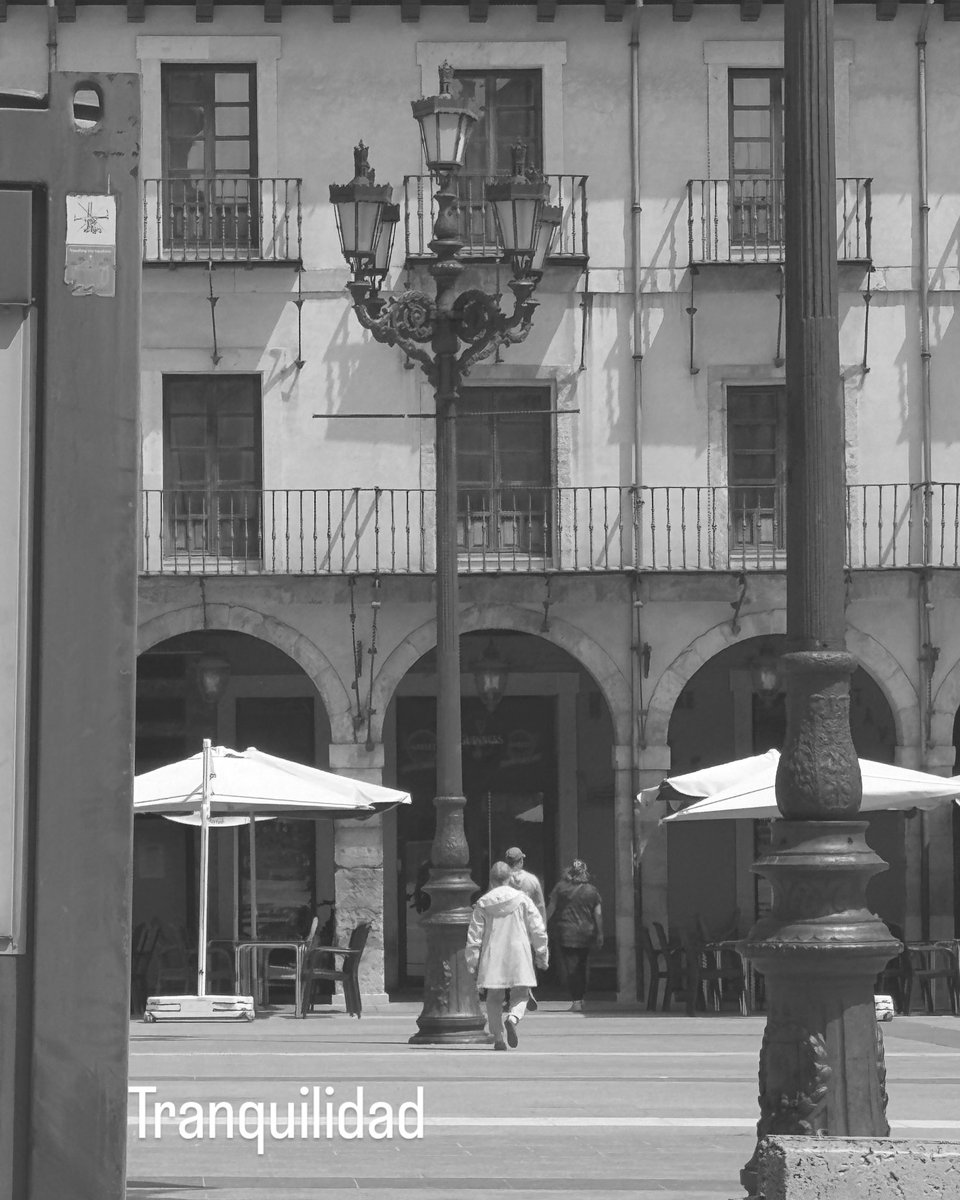EMuresJ's tweet photo. #fotoleon https://t.co/Q8drpbuv9E